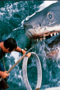 Jaws